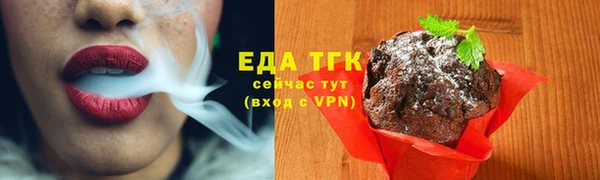 индика Гусев