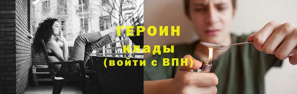 индика Гусев