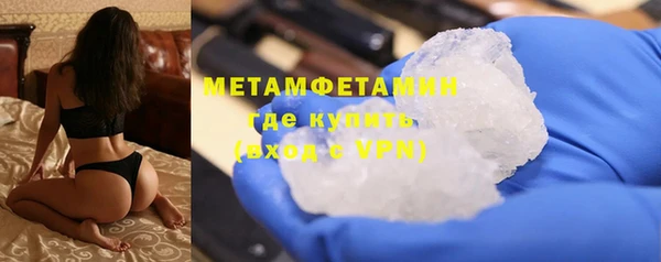 индика Гусев