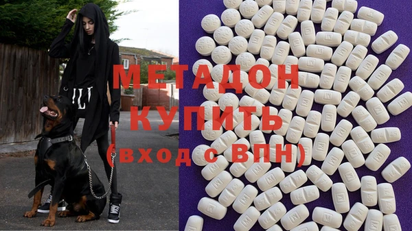 индика Гусев