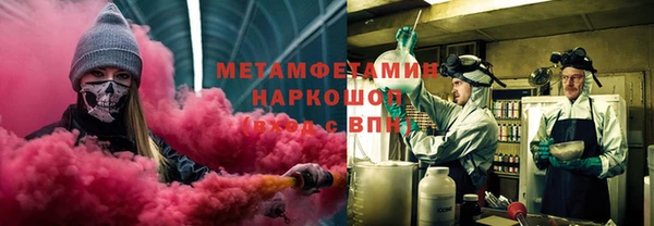 индика Гусев